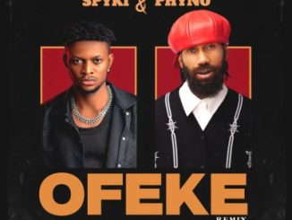 Spyki - Ofeke (Remix) ft. Phyno