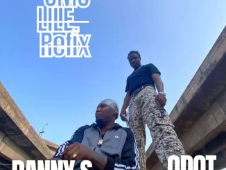 Danny S ft. Q dot – Omo Lile (Refix)