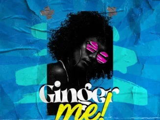 Fola Ft Bella Shmurda – Ginger Me