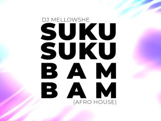 DJ Mellowshe – Suku Suku Bam Bam (Afro House)