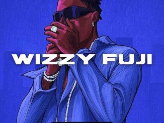 Paul cleverlee – Wizzy Fuji