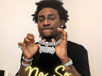 Shallipopi – Na So