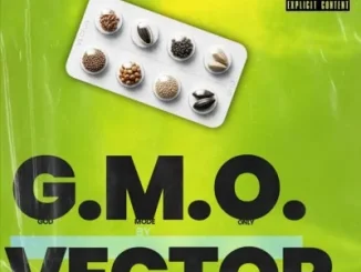 Vector – G.M.O (Freestyle)