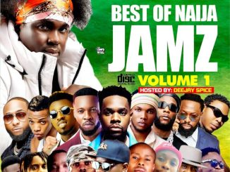 DJ Spize – Best Of Naija Jamz