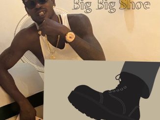 Media Hub x Kosere Master – Big Big Shoe