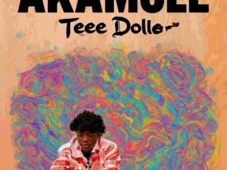 Teee Dollar – Akamole