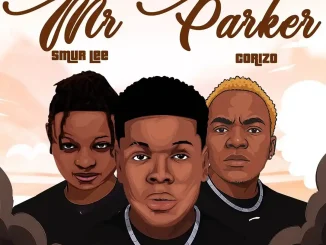 Skelvin - Mr Parker ft. Smur Lee & Corizo Mr Parker audio by Skelvin feat. Smur Lee and Corizo