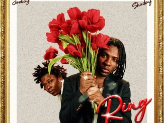 Ring By Joeboy ft. Shoday, Ring Song By Joeboy ft. Shoday Mp3 Download, Joeboy – Ring ft. Shoday