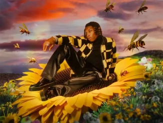 Rybeena – Mr Bee EP (Album), Ganja Song By Rybeena Mp3 Download, Rybeena – Ganja