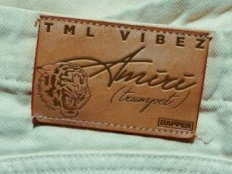 TML Vibez – Amiri (Trumpet)