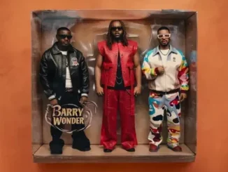 Bees & honey – Barry Wonder ft. Ruger, Daecolm, 10.93