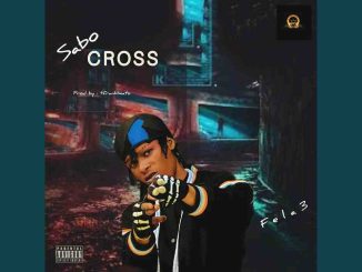 Fela 3 – Sabo Cross
