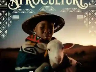 Flavour & Baaba Maal – AFROCULTURE