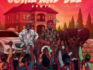 Somval – Come And See, Come And See, by Somval , Somval – Come And See mp3 download