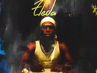 T Dollar – Eleda